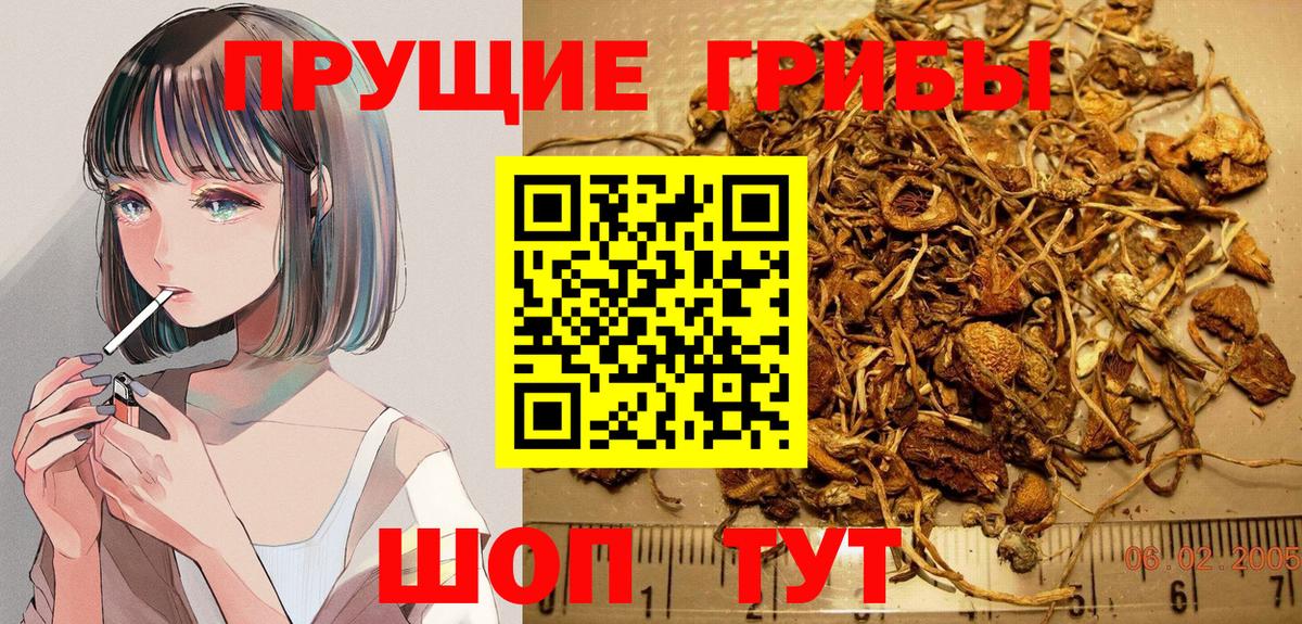 Коломна  где найти   Вход с VPN  Галлюциногенные грибы мицелий 